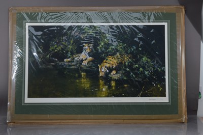 Lot 346 - David Shepard