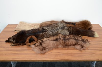 Lot 396 - A Vintage Argentinian fur stole probably alpaca