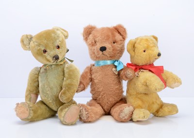 Lot 504 - Three teddy bears