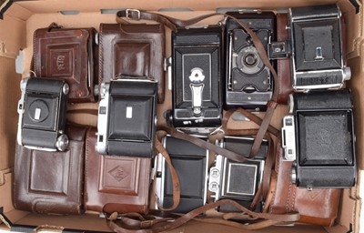 Lot 564 - A Tray of Folding Cameras