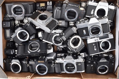 Lot 590 - A Tray of SLR Camera Bodies