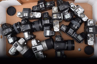 Lot 670 - A Tray of Minolta SLR Cameras