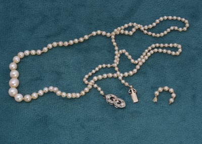 Lot 349 - A certificated string of natural saltwater graduated pearls