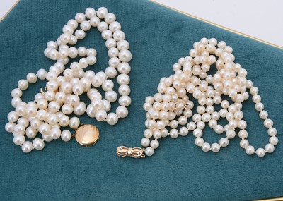 Lot 387 - A double row of knotted strung fresh water pearls