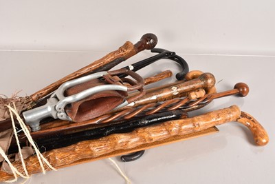 Lot 62 - A collection of walking sticks and canes