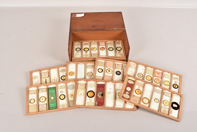 Lot 251 - A small collection of Microscope Slides