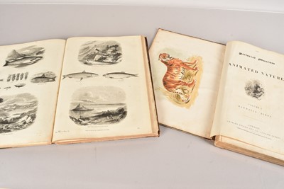 Lot 255 - Two Volumes of The Pictorial Museum of Animated Nature