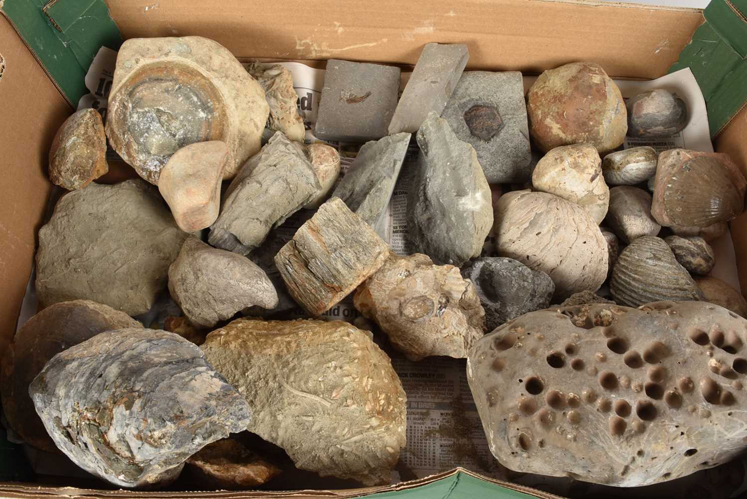 Lot 274 - An assortment of various fossils,