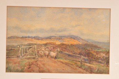 Lot 495 - Keeley Halswelle (1832-1891) "Sheep in a Moorland Landscape"