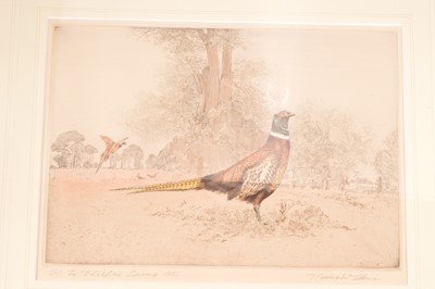 Lot 499 - Henry Wilkinson RE ARCA (1921-2011) "Pheasants"