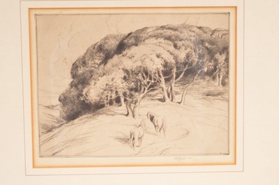 Lot 507 - Walter James RBA (3rd Baron Northbourne) (1869–1932) "Horses on a Wooded Hillside"