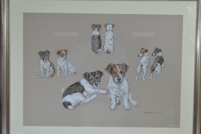 Lot 573 - Jean Parry-Williams (1918-2010) "Studies of Two Terriers 'Snoopy & 'Spot'"