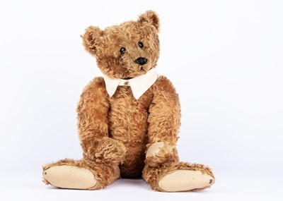 Lot 17 - ‘Bo’ - Paul Volpp’s favourite bear, a cinnamon centre-seam Steiff Teddy Bear, circa 1905