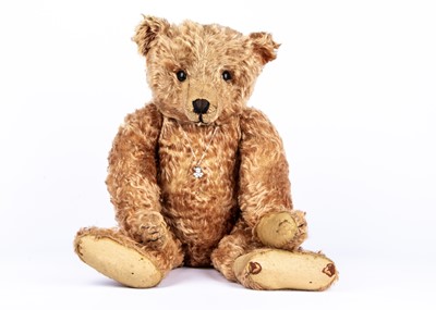 Lot 20 - ‘Dearheart’ - a Steiff cinnamon centre-seam Teddy Bear belonging to Paul and Rosemary Volpp, circa 1908