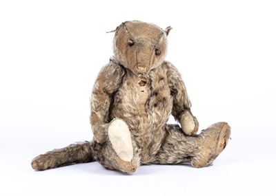 Lot 22 - A rare German Billy Possum opossum, 1909