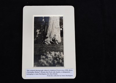 Lot 231 - A rare original photograph of Christopher Robin’s Winnie the pooh in Ashdown Forest, circa 1928