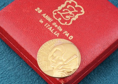 Lot 10 - A gold Italian 20 Anni Delle FAO medallion