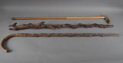 Lot 202 - Three walking sticks