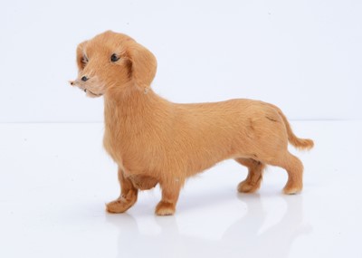 Lot 825 - A French fur covered doll’s pet dachshund