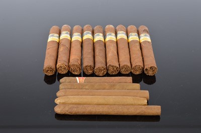 Lot 142 - Nine Cohiba Siglo VI cigars and five other cigars