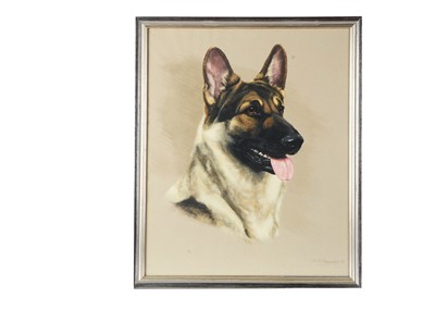 Lot 335 - Oil and Watercolour Portraits of Alsatian Dogs by Rob Perry and Bridget Olerenshaw