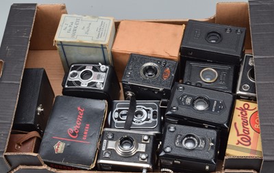 Lot 183 - A Tray of Box Cameras