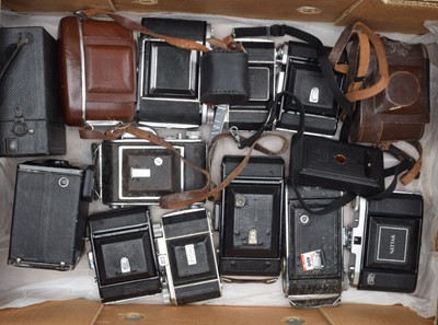 Lot 551 - A Tray of Folding Cameras