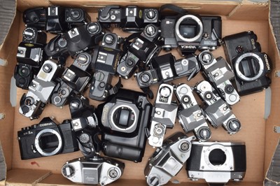 Lot 627 - A Tray of SLR Camera Bodies