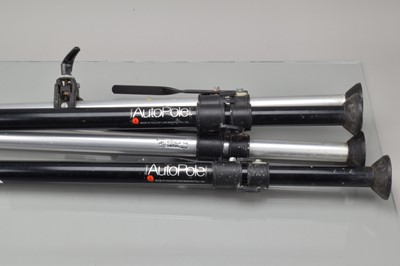 Lot 763 - Four Auto Poles