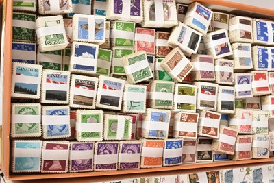 Lot 151 - An extensively large collection of loose British and World Stamps