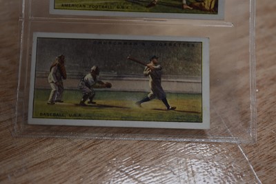 Lot 187 - Natural History Hunting/Sports and Flora Themed Sets (40)