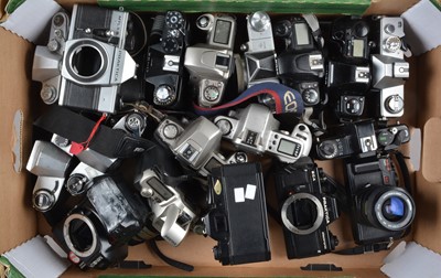 Lot 231 - A Tray of SLR Cameras