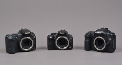Lot 335 - Three Canon EOS DSLR Camera Bodies