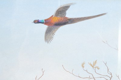 Lot 644 - Philip Puckman