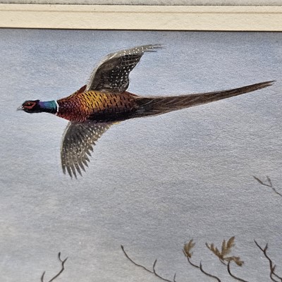 Lot 644 - Philip Puckman