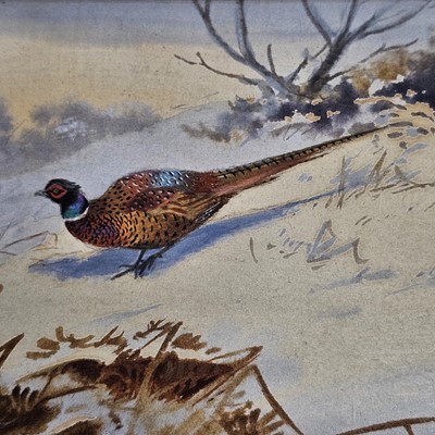Lot 644 - Philip Puckman
