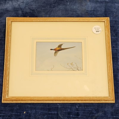 Lot 644 - Philip Puckman