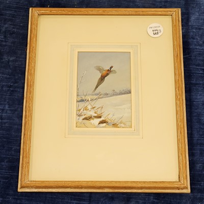 Lot 644 - Philip Puckman