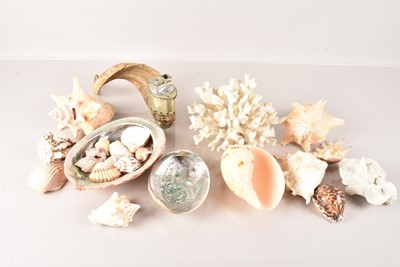 Lot 208 - A selection of Sea Shells and Corals