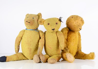 Lot 703 - Three 1930's German Teddy Bears