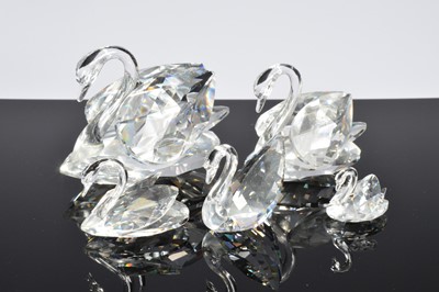 Lot 9 - A collection of twelve Swarovski birds