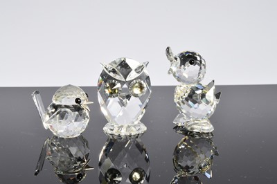 Lot 9 - A collection of twelve Swarovski birds