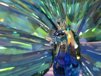 Lot 74 - A Swarovski Annual edition Arya Peacock
