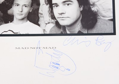 Lot 467 - Madness / Signed LP