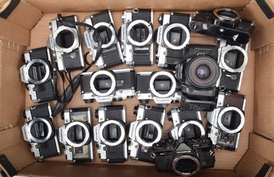 Lot 164 - A Tray of Olympus OM SLR Camera Bodies