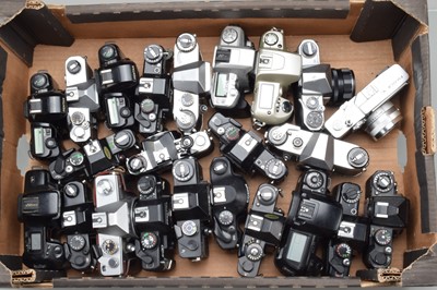 Lot 391 - A Tray of SLR Camera Bodies