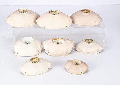 Lot 1291 - Eight French fashion doll bisque shoulder plates