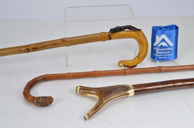 Lot 77 - Three walking sticks