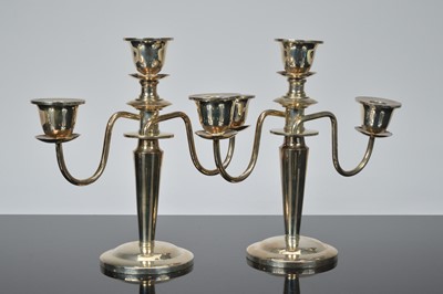 Lot 256 - A pair of modern Far Eastern filled candelabra