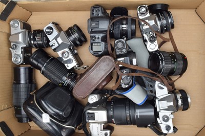 Lot 91 - A Tray of SLR Cameras